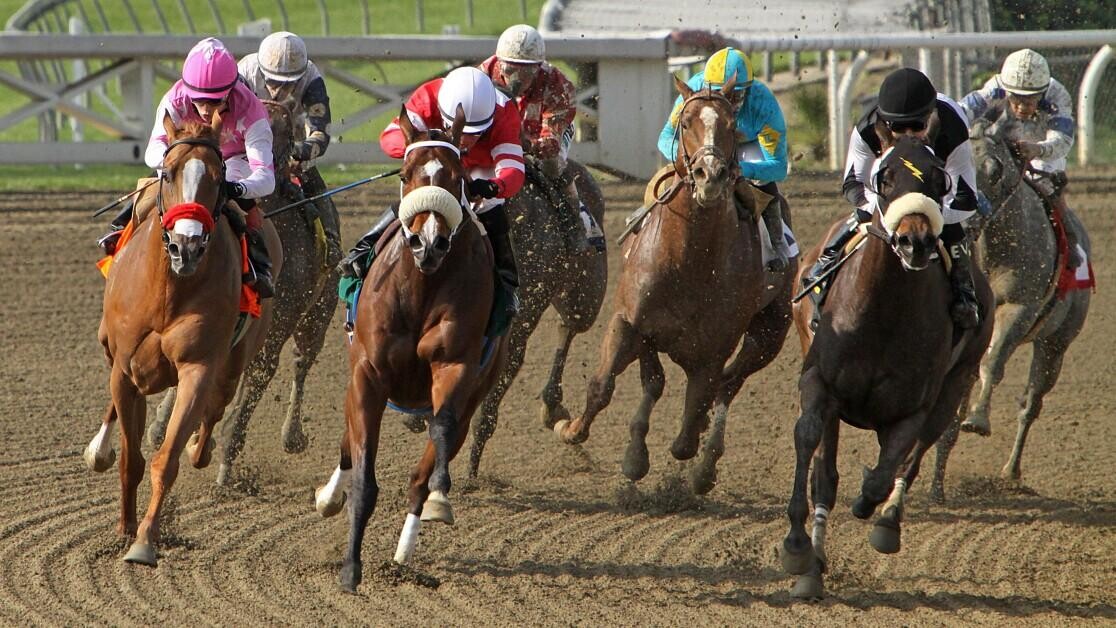 All-Weather Sprint Championships Preview, Tips, Runners & Trends (AWC Finals Day) All-Weather Sprint Championships Preview, Tips, Runners & Trends (AWC Finals Day)