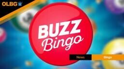 Buzz Bingo Big Money Live: £115,000 in Prizes on 1st November