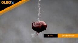 World Conker Championships 2025 Odds: David Jakins Favourite to Defend Title After Steel Conker Controversy