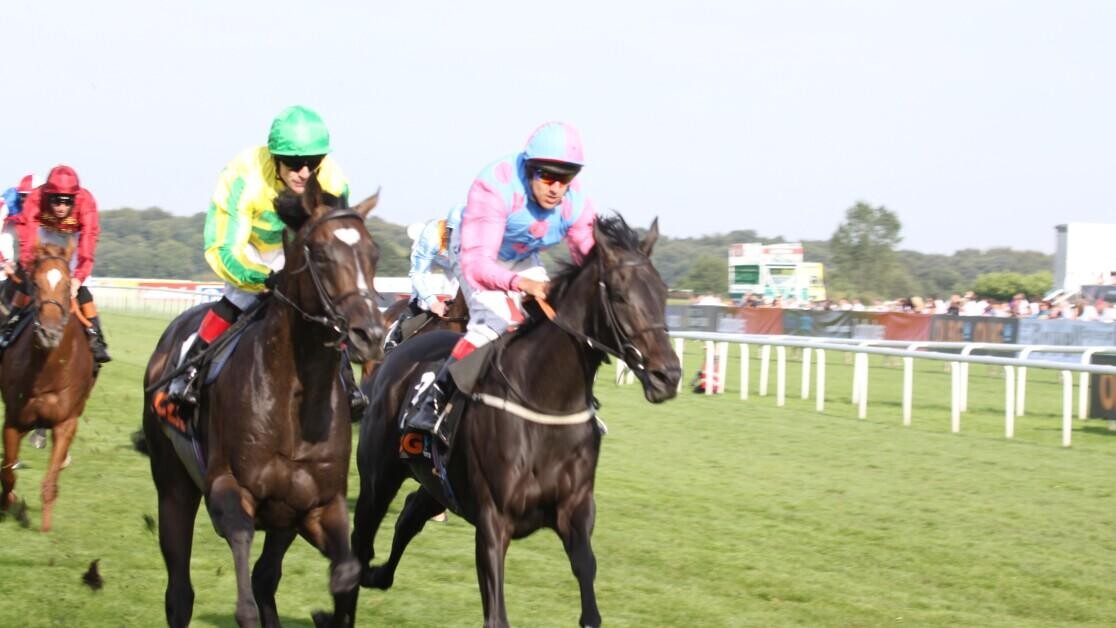 Narrowing a field down in Sprints Narrowing a field down in Sprints