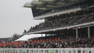 Festival Plate Preview, Tips, Runners & Trends (Cheltenham Festival)