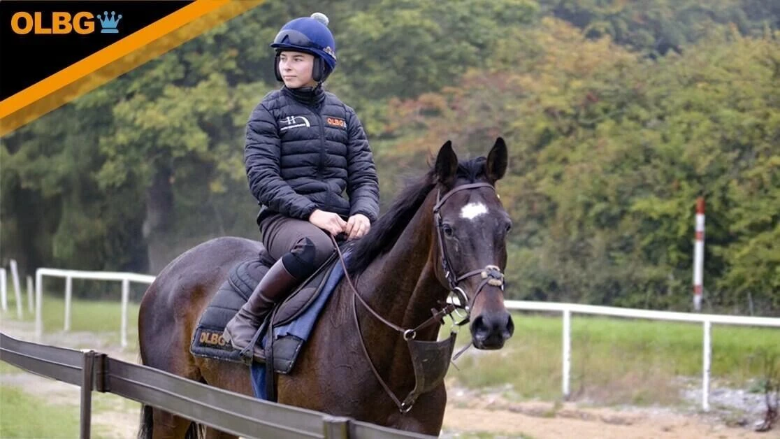 Park Talk race horse on the gallops