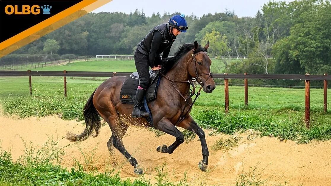 race horse teddy blue on the gallops at harry derham