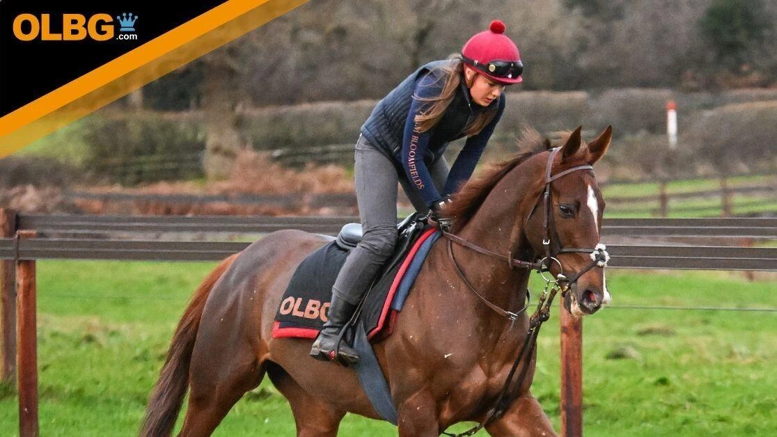race horse Just Ennemi on the gallops at harry derhams