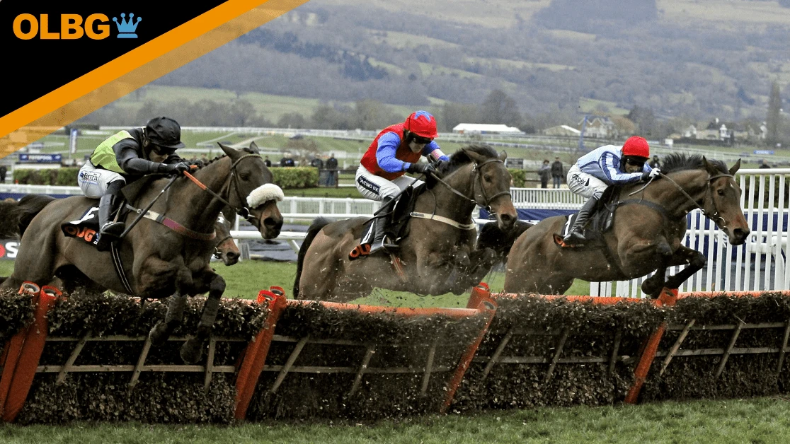 Fairyhouse Mares Novice Hurdle Preview, Tips, Runners & Trends