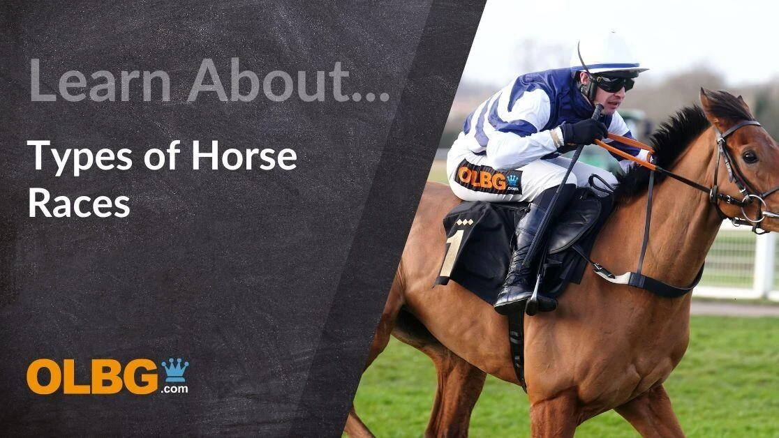 Different Types of Horse Races in the UK and Ireland