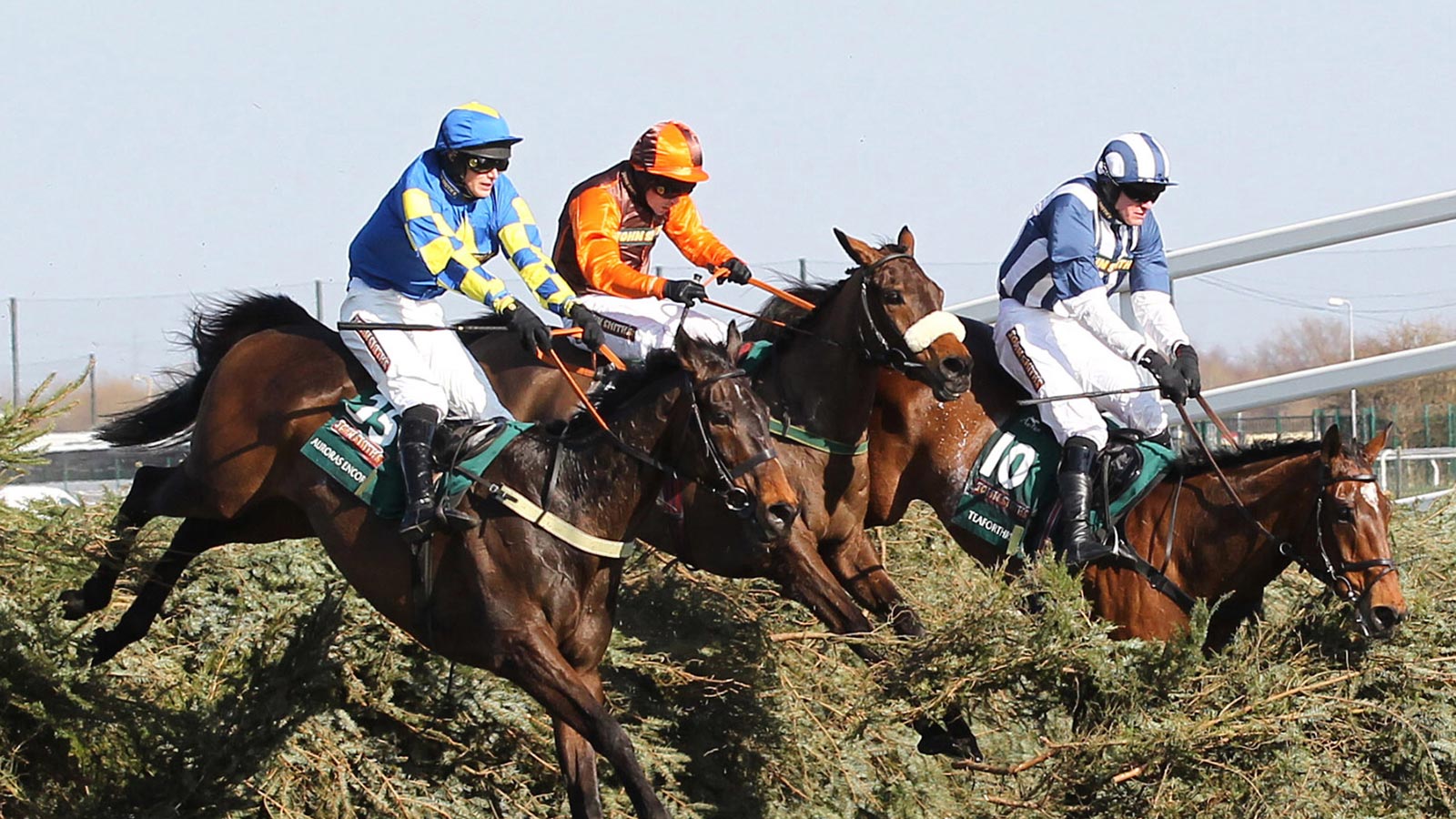 Grand National Bookmakers and Offers Ireland | Aintree 2025
