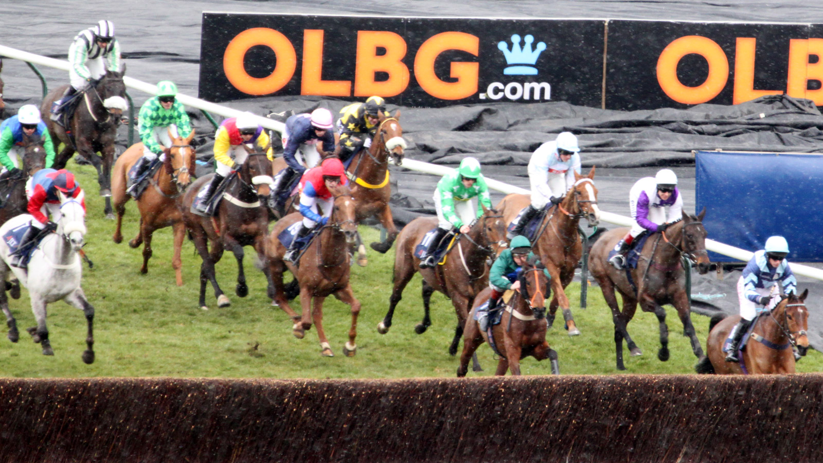 Types Of Horse Racing Bet